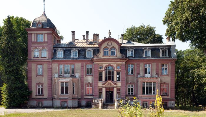 Castle for sale Brzeźnica, Lubusz Voivodeship,  Poland