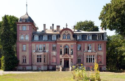 Castle for sale Brzeźnica, Bobrzańska 1, Lubusz, Front view