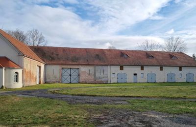 Castle for sale Brzeźnica, Bobrzańska 1, Lubusz, Stodoły część Wschodnia