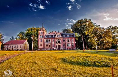 Castle for sale Brzeźnica, Bobrzańska 1, Lubusz, Stan wspołczesny