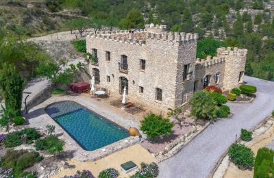 Historic villa for sale Relleu, Valencia, Photo 24/24
