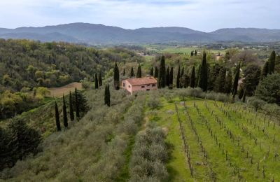 Country home for sale Vicchio, Tuscany, Photo 36/39