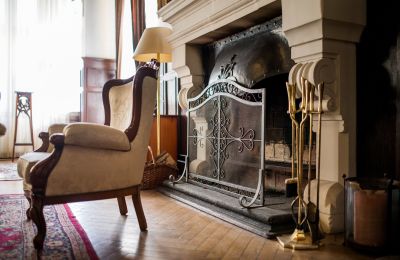 Castle for sale Ornontowice, Zamkowa, Silesia, Fireplace