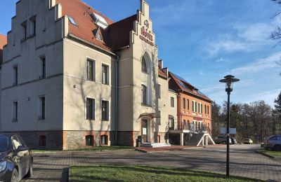 Historic property for sale Niemcza, Lower Silesia, Photo 2/27