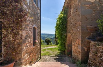 Character Properties, Renovated character farmhouse near Greve in Chianti