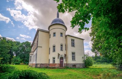 Castle for sale Krąpiel, Pałac w Krąpielu, West Pomerania, Photo 6/15