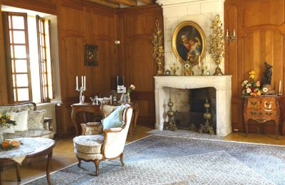 Castle for sale Centre-Loire Valley, Photo 4/12