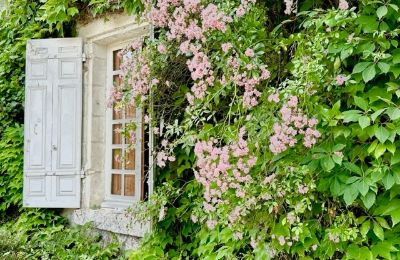 Castle for sale Centre-Loire Valley, Photo 11/12