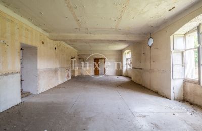 Castle for sale Kounice, Zámek Kounice, Středočeský kraj, Photo 12/24