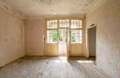 Castle for sale Kounice, Zámek Kounice, Středočeský kraj, Photo 11/24