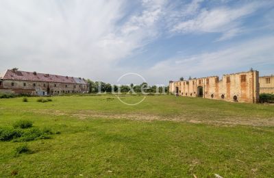 Castle for sale Kounice, Zámek Kounice, Středočeský kraj, Zámek Kounice 2024