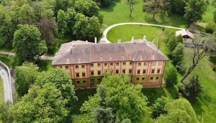 Castle for sale Kraj Vysočina,  Czech Republic
