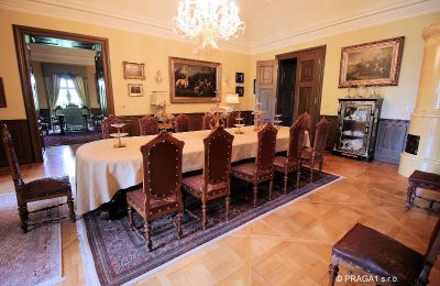 Castle for sale Kraj Vysočina, Photo 8/19
