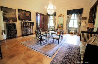 Castle for sale Kraj Vysočina, Photo 9/19
