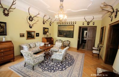 Castle for sale Kraj Vysočina, Photo 13/19