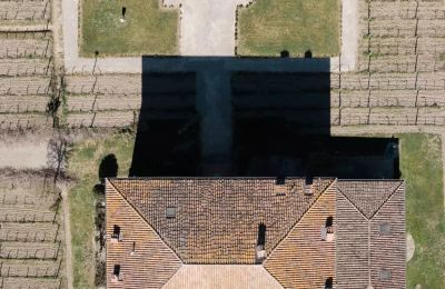 Historic Villa for sale Zibello, Emilia-Romagna, Photo 27/31