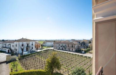 Historic Villa for sale Zibello, Emilia-Romagna, View