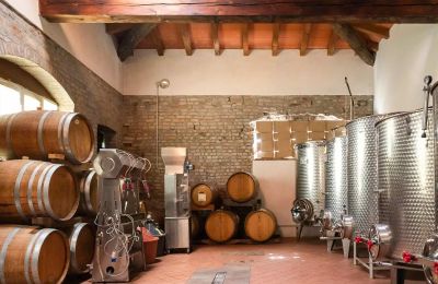 Historic Villa for sale Zibello, Emilia-Romagna, Photo 22/31