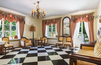 Castle for sale 05-332 Żaków, Mazovia, Drawing room