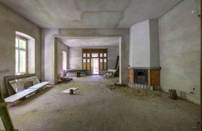 Manor House for sale Lubiatów, Łódź Region, Large Hall