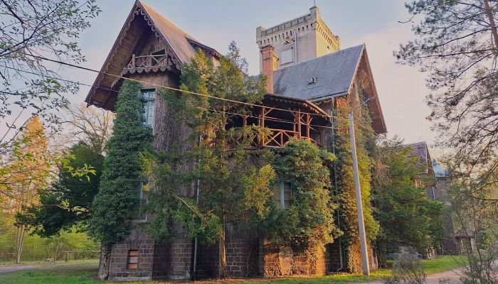 Château · Sośnie