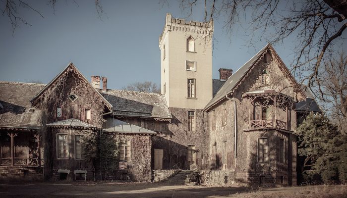 Castle for sale Sośnie, Greater Poland,  Poland