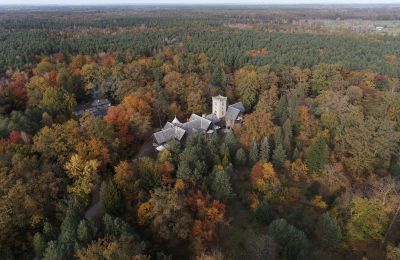 Castle Sośnie, Greater Poland