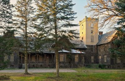 Castle for sale Sośnie, Jana Sztolcmana 1, Greater Poland, Photo 8/8