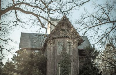 Castle for sale Sośnie, Jana Sztolcmana 1, Greater Poland, Photo 4/7