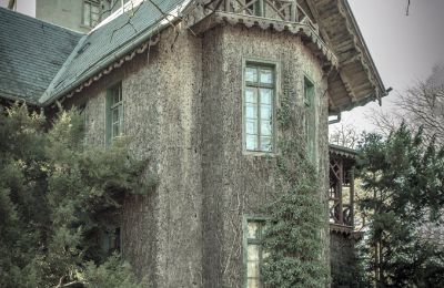 Castle for sale Sośnie, Jana Sztolcmana 1, Greater Poland, Photo 6/7