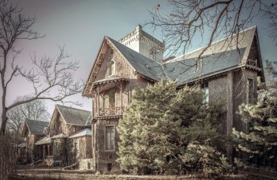 Castle for sale Sośnie, Jana Sztolcmana 1, Greater Poland, Pałac Moja Wola