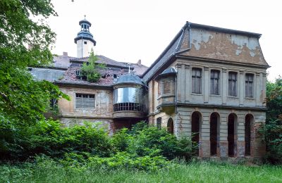 Can Schloss Friedrichstanneck Palace still be saved, Photo 1