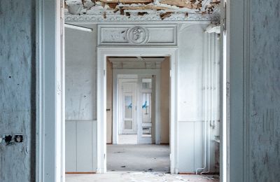 Can Schloss Friedrichstanneck Palace still be saved, Photo 6