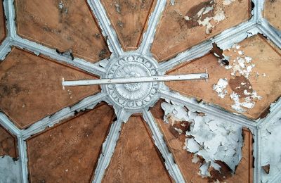 Can Schloss Friedrichstanneck Palace still be saved, Photo 9