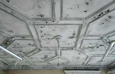 Can Schloss Friedrichstanneck Palace still be saved, Photo 10