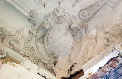 Can Schloss Friedrichstanneck Palace still be saved, Photo 11