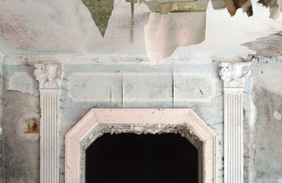 Can Schloss Friedrichstanneck Palace still be saved, Photo 13