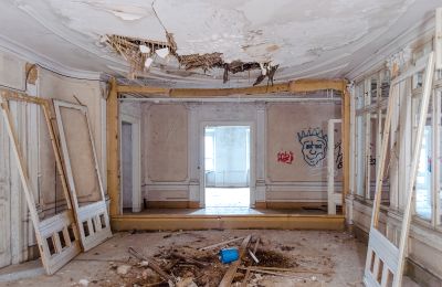 Can Schloss Friedrichstanneck Palace still be saved, Photo 8