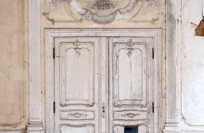 Can Schloss Friedrichstanneck Palace still be saved, Photo 14