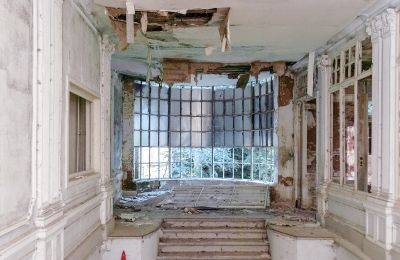 Can Schloss Friedrichstanneck Palace still be saved, Photo 3