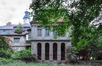 Can Schloss Friedrichstanneck Palace still be saved, Photo 15