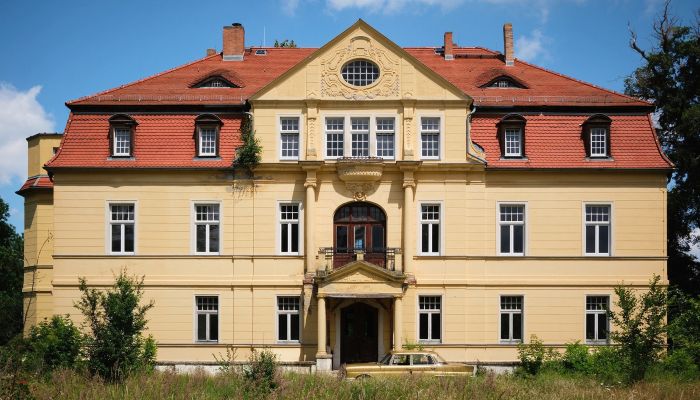 Manor House for sale Salzlandkreis, Bernburg, Preußlitz,  Germany