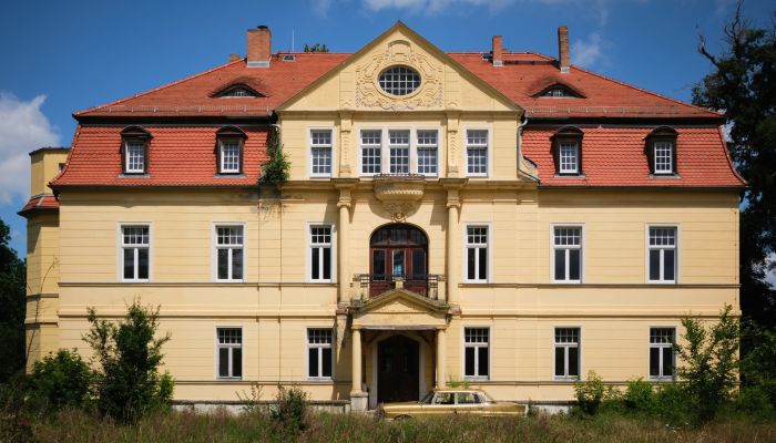 Manor House for sale Salzlandkreis, Bernburg, Preußlitz,  Germany