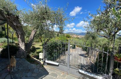 Country property for sale Oliveto, Liguria, Photo 9/21