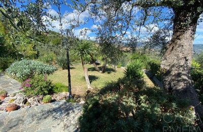 Country property for sale Oliveto, Liguria, Photo 10/21