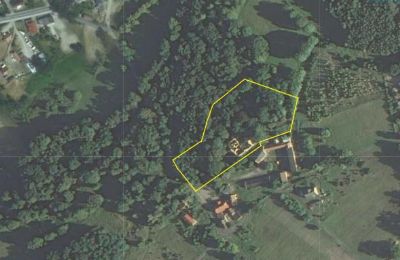 Castle for sale Czerna, Pałac w Czernej, Lubusz, Property