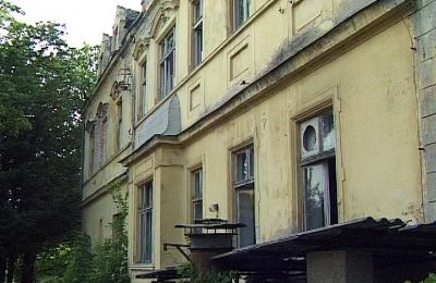 Castle for sale Czerna, Pałac w Czernej, Lubusz, Photo 4/8