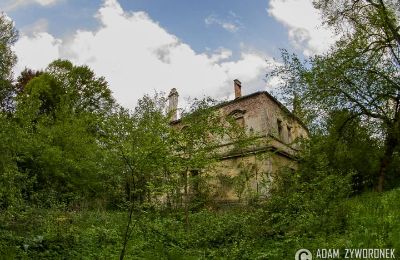 Castle for sale Czerna, Pałac w Czernej, Lubusz, Photo 6/8