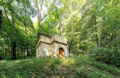 Manor House for sale Poręba Żegoty, Ruiny Dworu Szembeków, Lesser Poland, Photo 16/20
