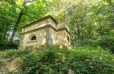 Manor House for sale Poręba Żegoty, Ruiny Dworu Szembeków, Lesser Poland, Photo 17/20